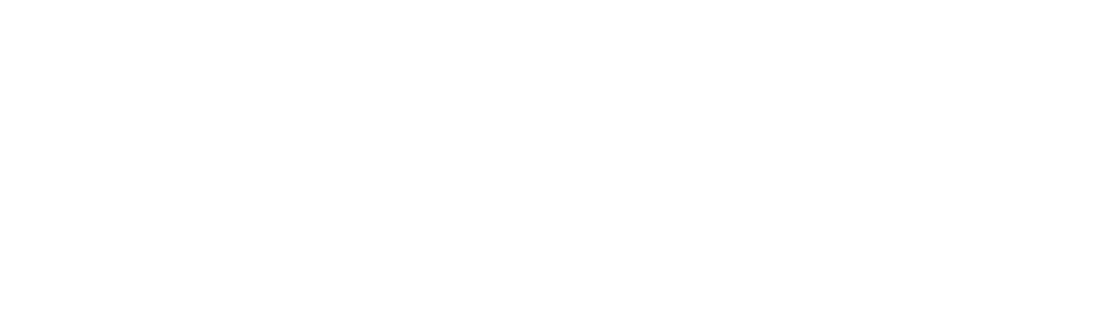 NÉMESIS Risk Consulting
